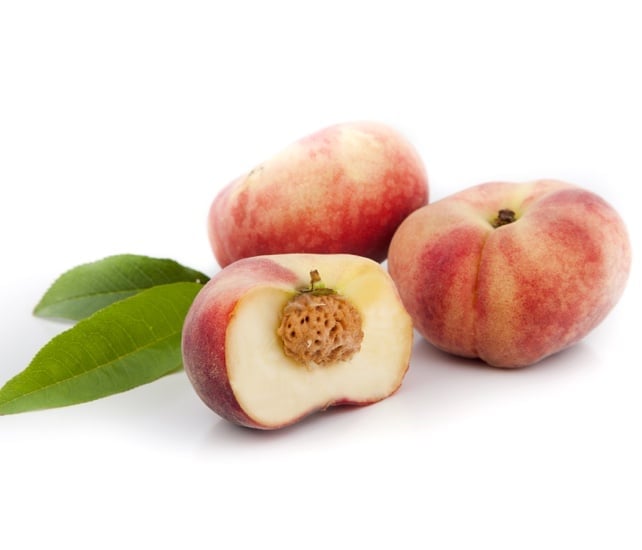 pêche
